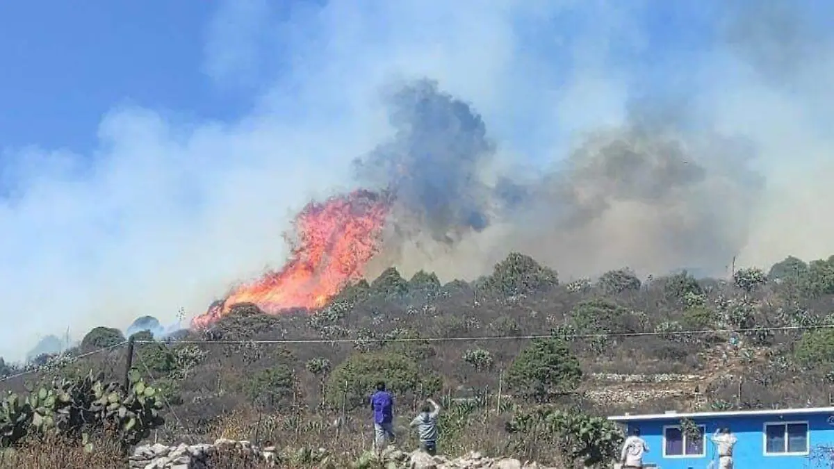 Incendio zimapan